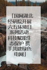 国网湖北经研院开展六五环境日系列活动 科技赋能生态保护 携手共建绿色电网